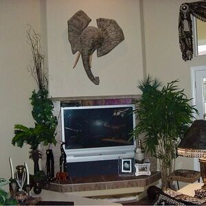 Hand carved solid teak wood elephant head. It’s a beautiful piece.